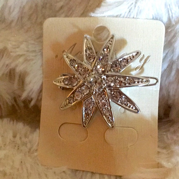 🎉SOLD!🎉NWT Star Hair Clips - Picture 6 of 12